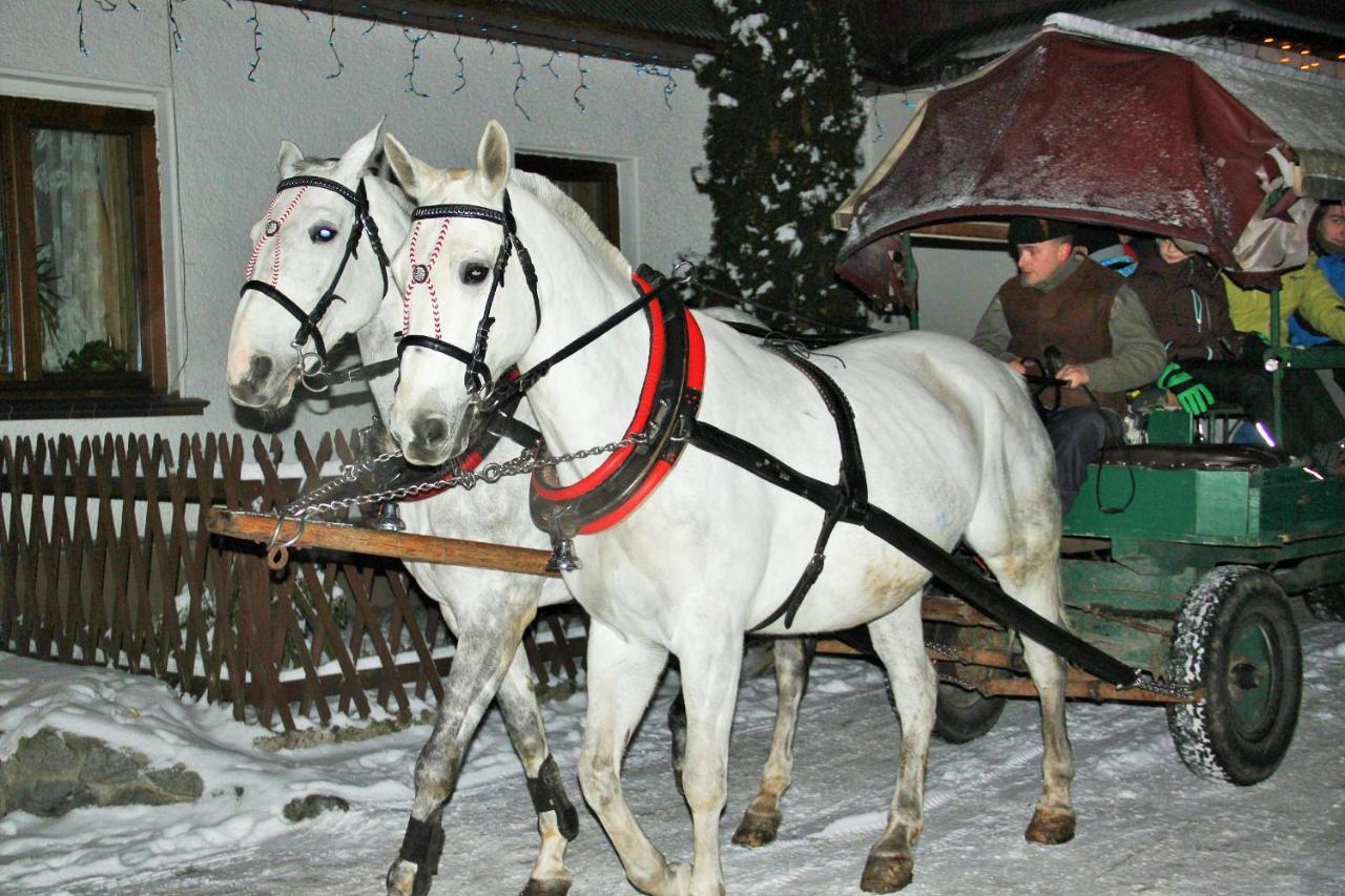 U Sarapatki-Noclegi Z Wyzywieniem Jurgów Extérieur photo